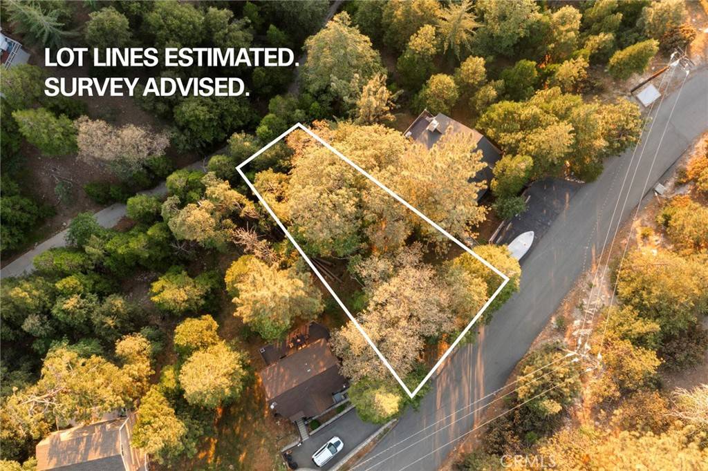 Lake Arrowhead, CA 92352,1274 Evergreen LN