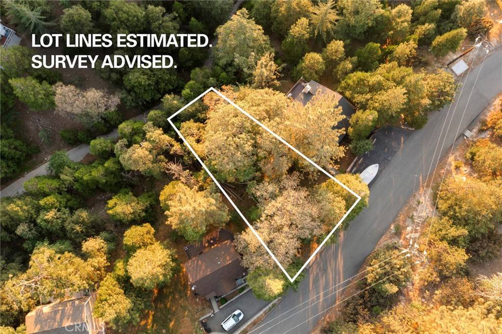 Lake Arrowhead, CA 92352,1274 Evergreen LN