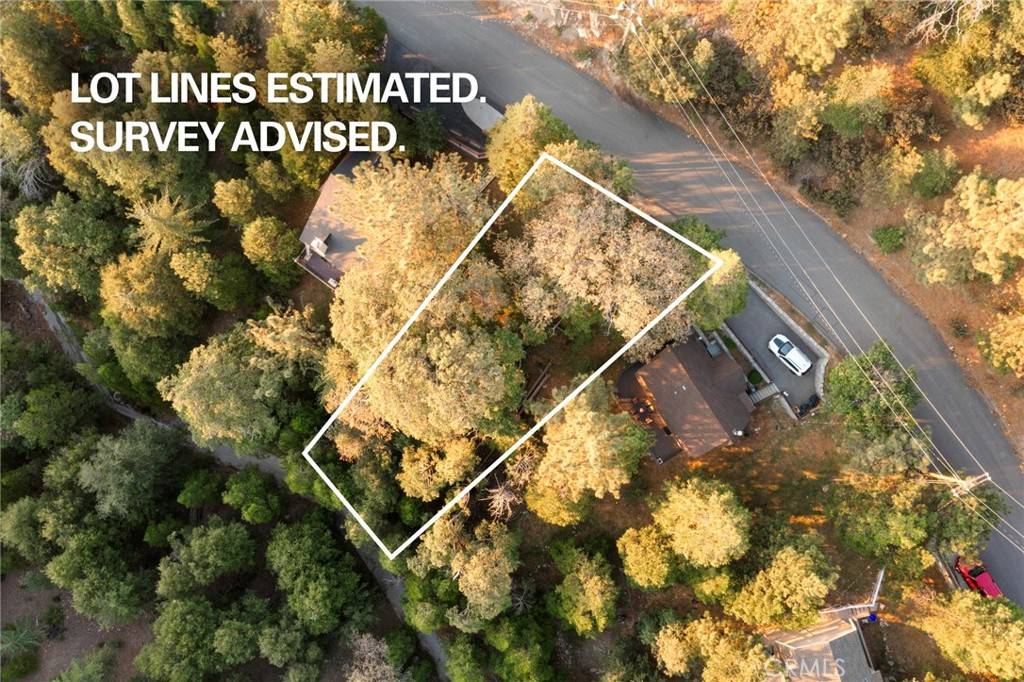 Lake Arrowhead, CA 92352,1274 Evergreen LN