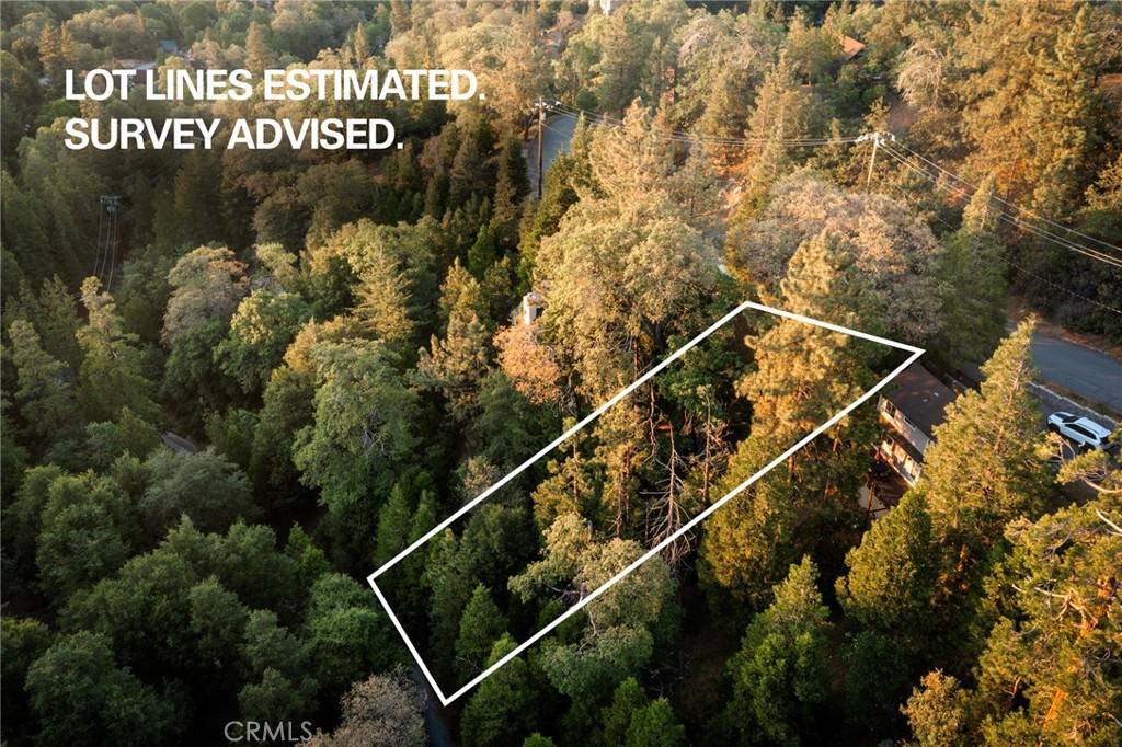 Lake Arrowhead, CA 92352,1274 Evergreen LN