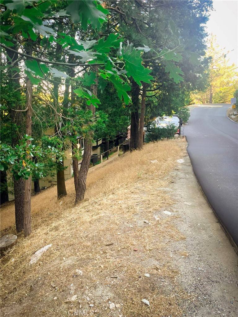 Lake Arrowhead, CA 92352,1274 Evergreen LN
