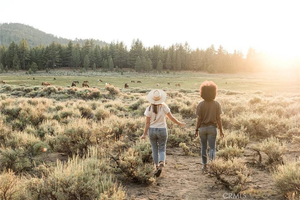Fawnskin, CA 92333,34300 Holcomb Valley RD