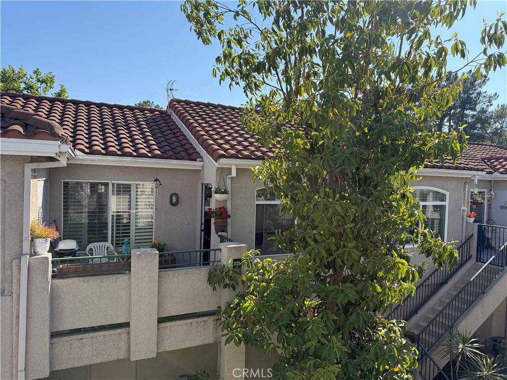 Aliso Viejo, CA 92656,225 Cinnamon Teal