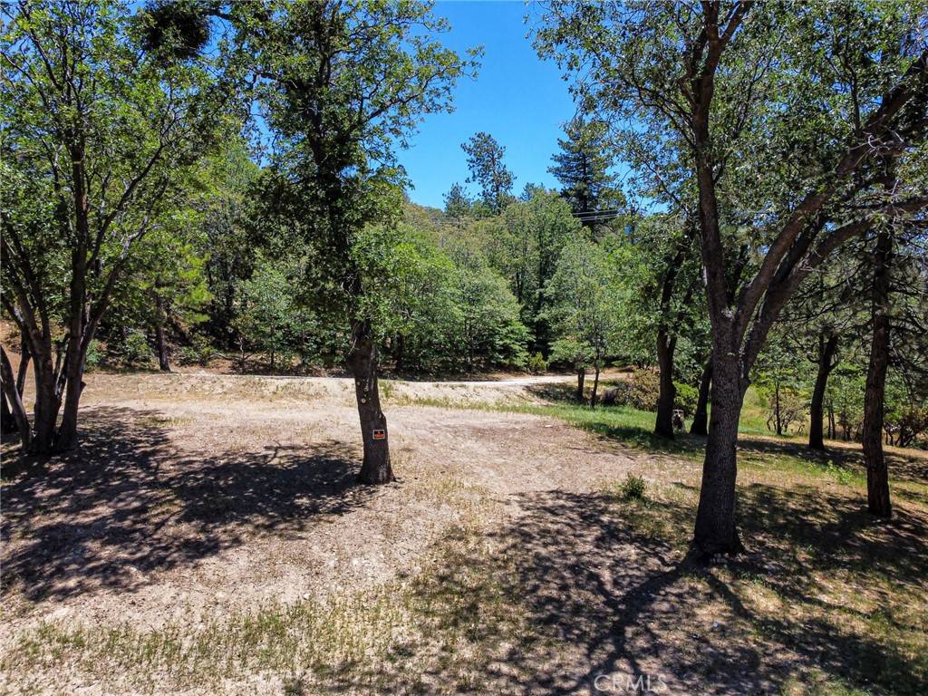Lake Arrowhead, CA 92352,1229 Halifax DR