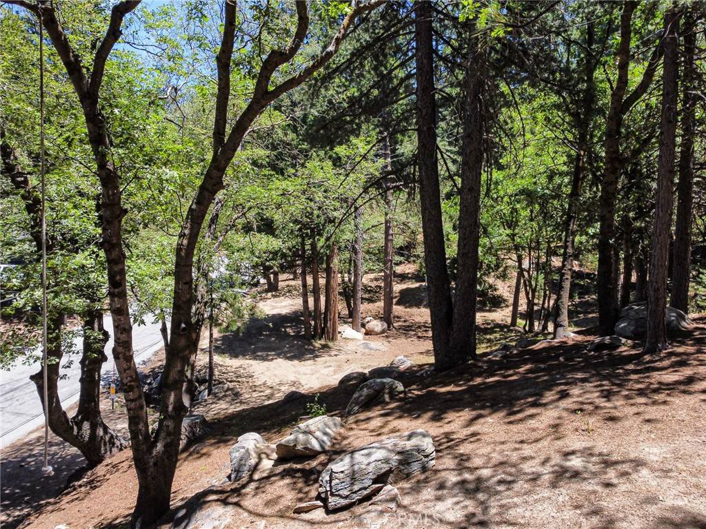 Lake Arrowhead, CA 92352,0 Meadowbrook RD