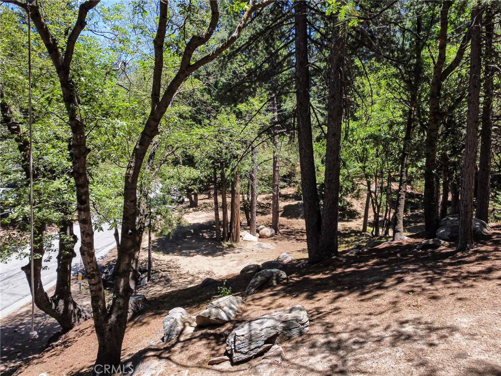 Lake Arrowhead, CA 92352,0 Meadowbrook RD