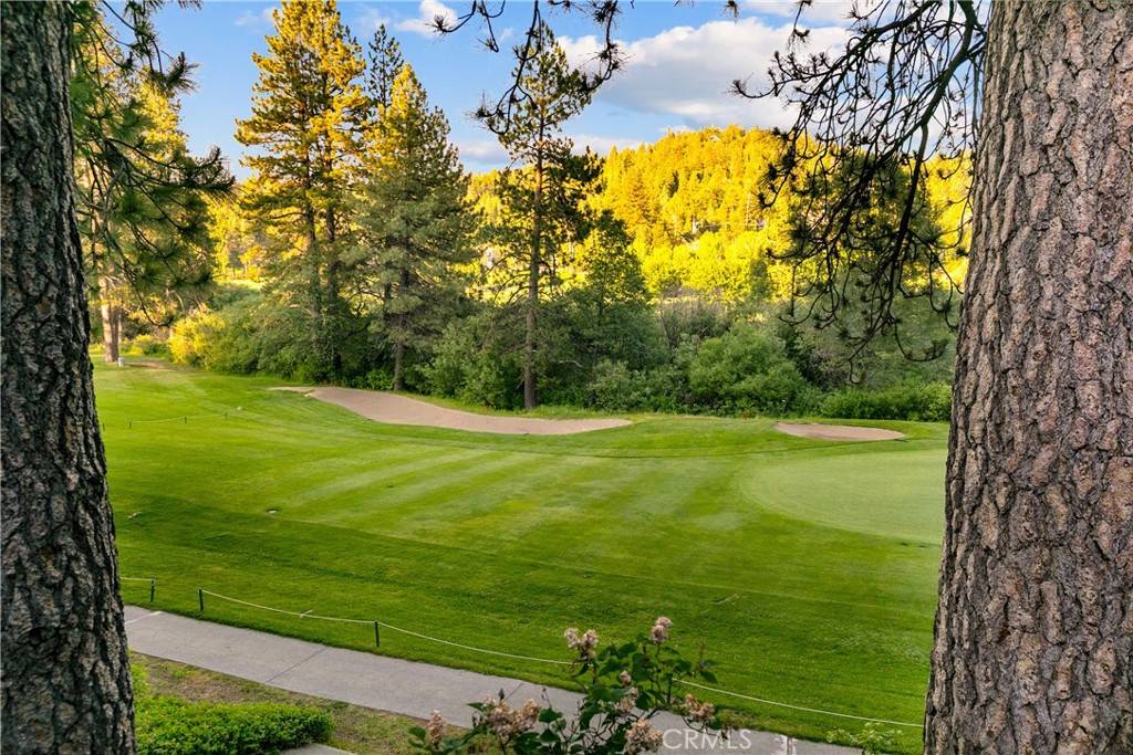 Lake Arrowhead, CA 92352,361 Riviera DR
