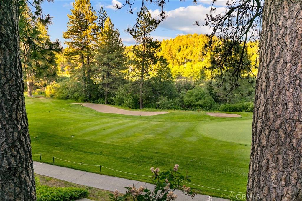 Lake Arrowhead, CA 92352,361 Riviera DR