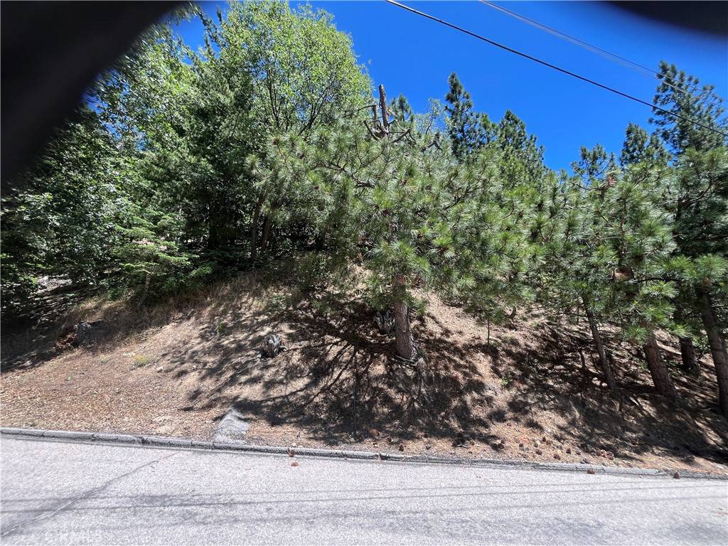Angelus Oaks, CA 92305,0 Cedar CT