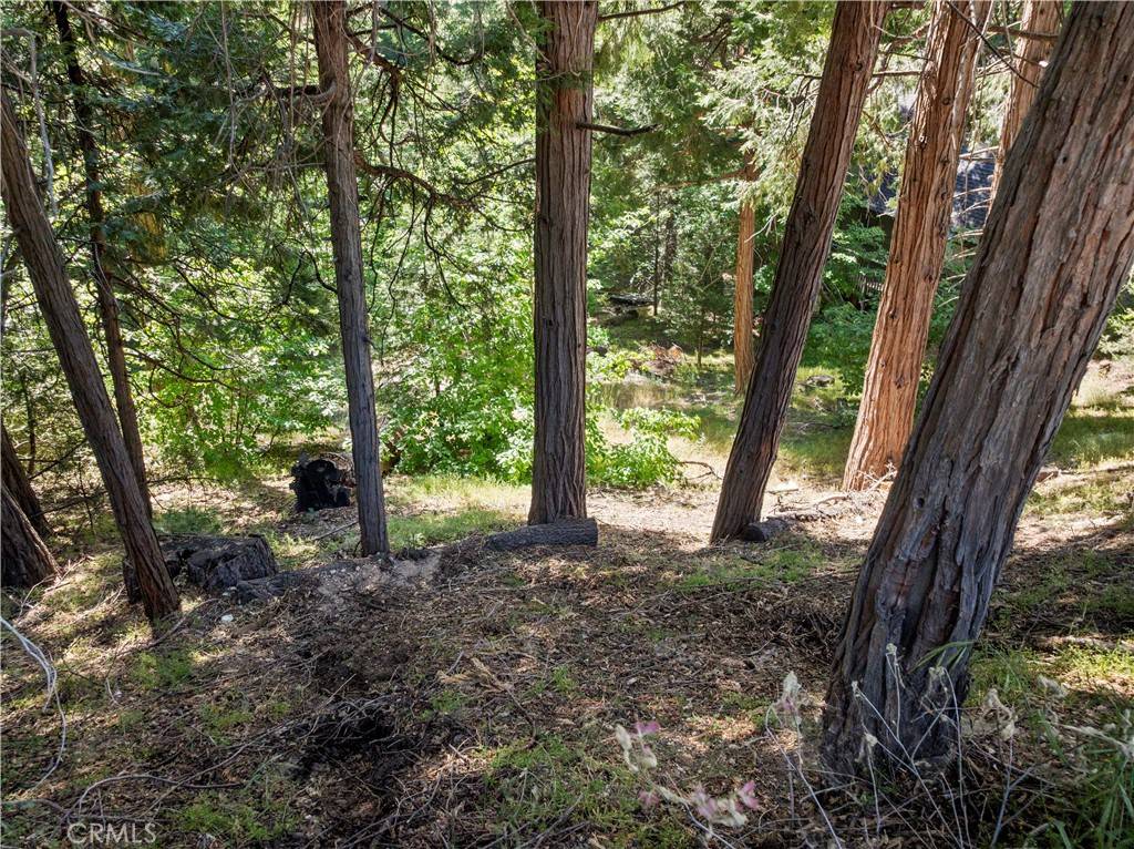 Lake Arrowhead, CA 92352,356 Ca-173