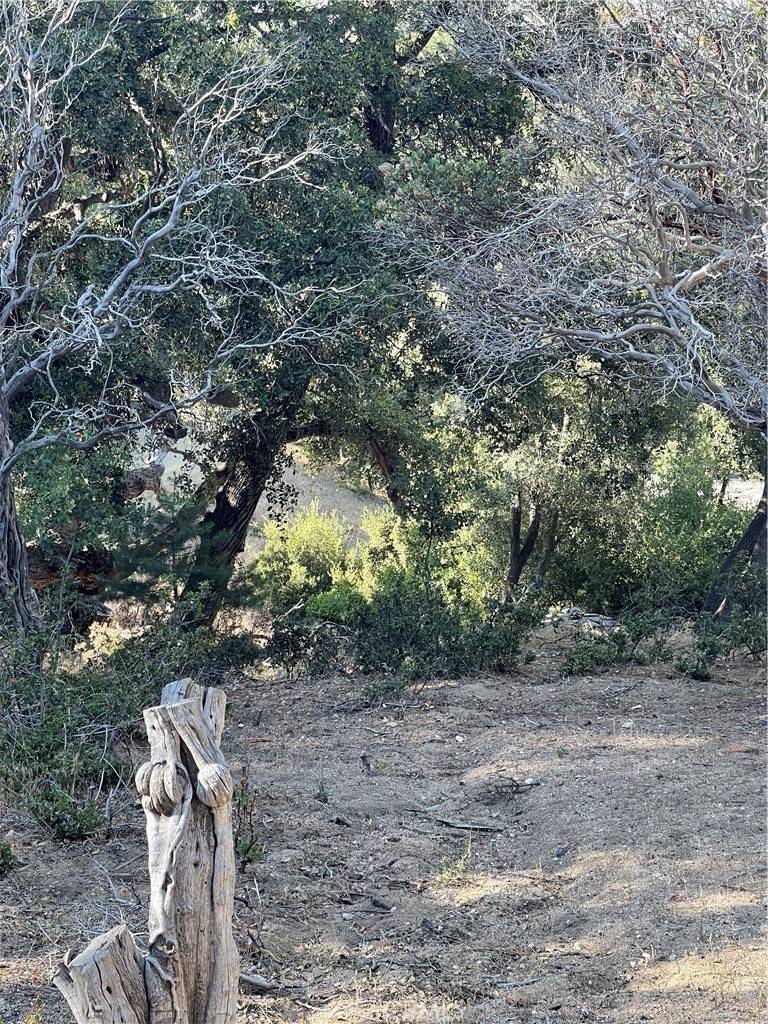 Idyllwild, CA 92561,0 Valley View DR