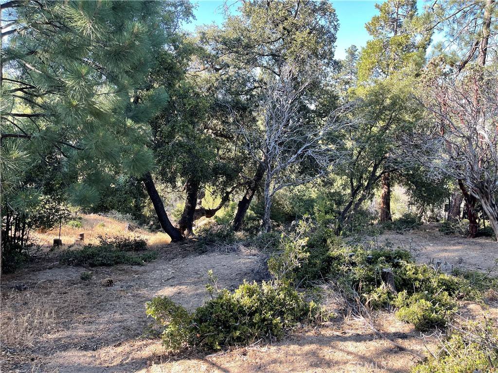 Idyllwild, CA 92561,0 Valley View DR