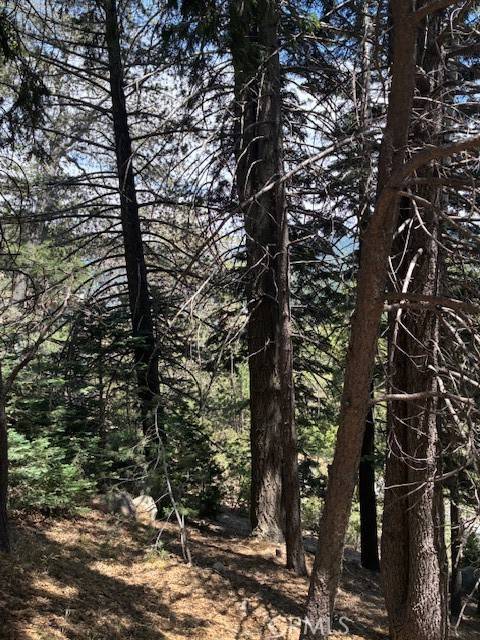 Lake Arrowhead, CA 92317,248 Old Toll RD
