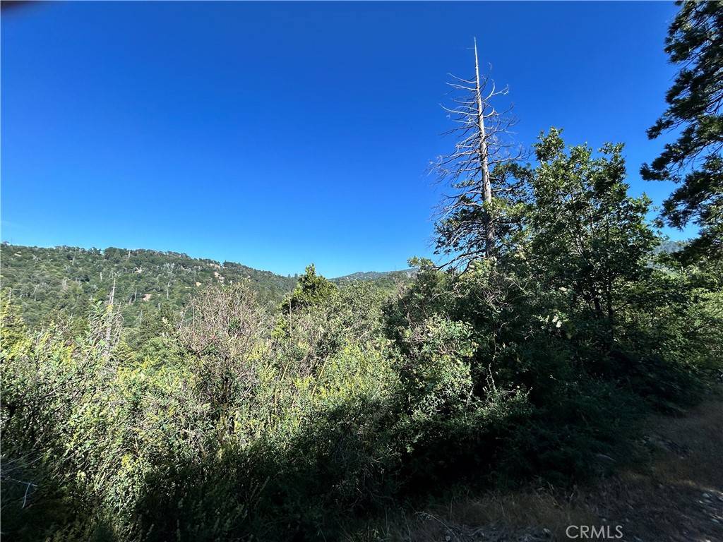 Cedar Glen, CA 92321,12 LOT Piney LN