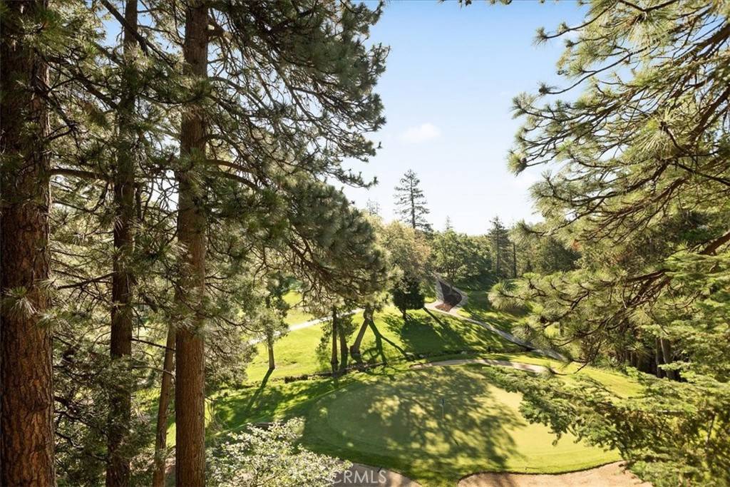 Lake Arrowhead, CA 92391,207 N Fairway DR N