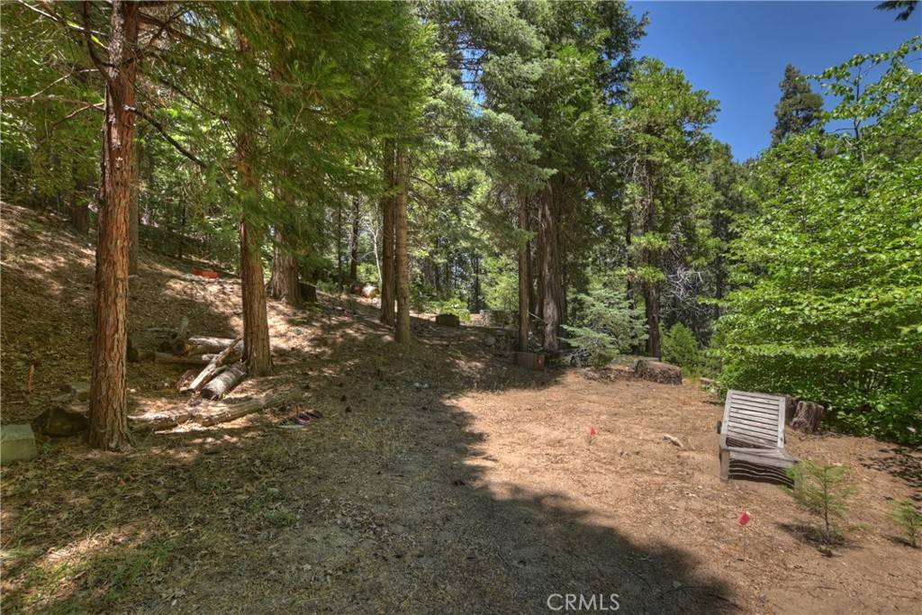 Lake Arrowhead, CA 92317,714 Blue Jay Canyon RD