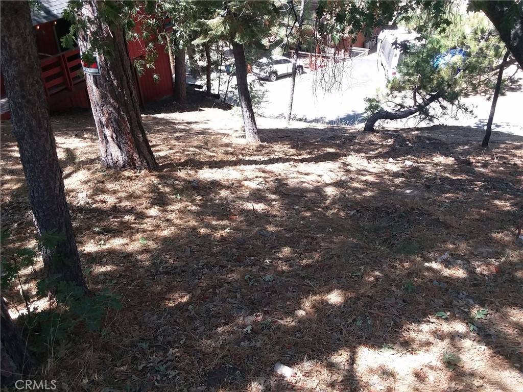 Arrowbear, CA 92382,32960 Lone Pine DR