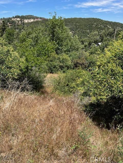 Cedar Glen, CA 92321,478 Oakdale DR