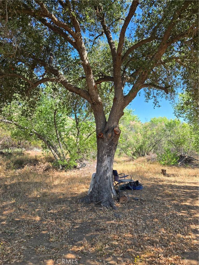 Sage, CA 92544,0 Los Altos