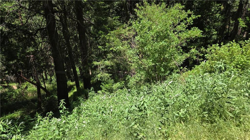 Cedarpines Park, CA 92322,0 Cedar Pines DR