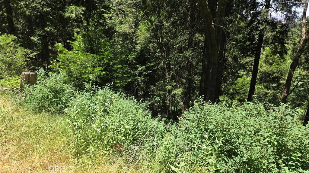 Cedarpines Park, CA 92322,0 Cedar Pines DR