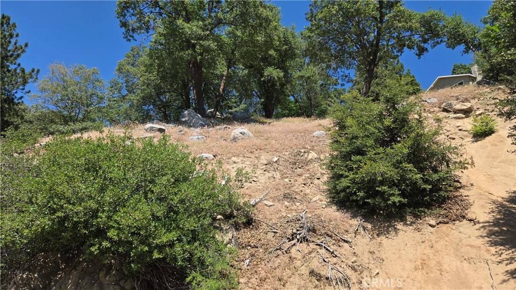 Crestline, CA 92325,0 Edelweiss DR