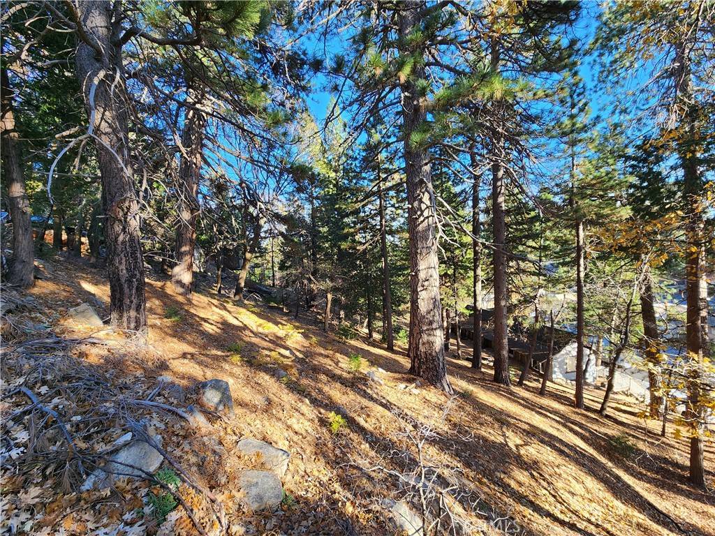 Rimforest, CA 92378,0 Lovers LN