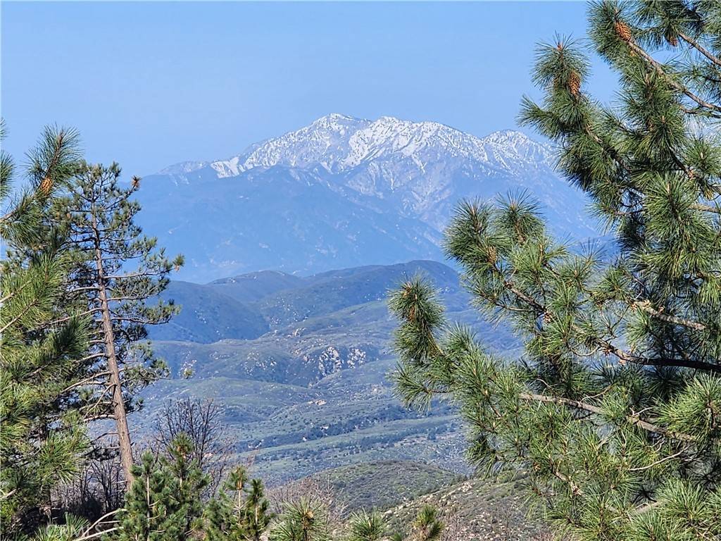 Running Springs, CA 92382,30110 Skyline