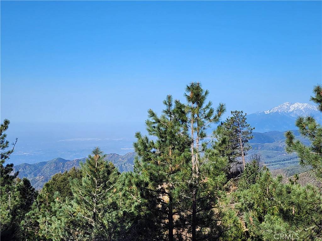 Running Springs, CA 92382,30110 Skyline