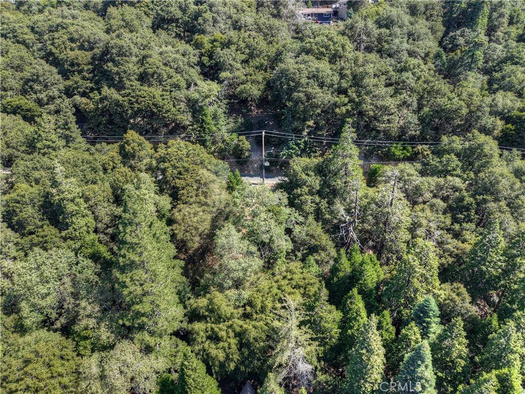 Crestline, CA 92325,0 Basel DR