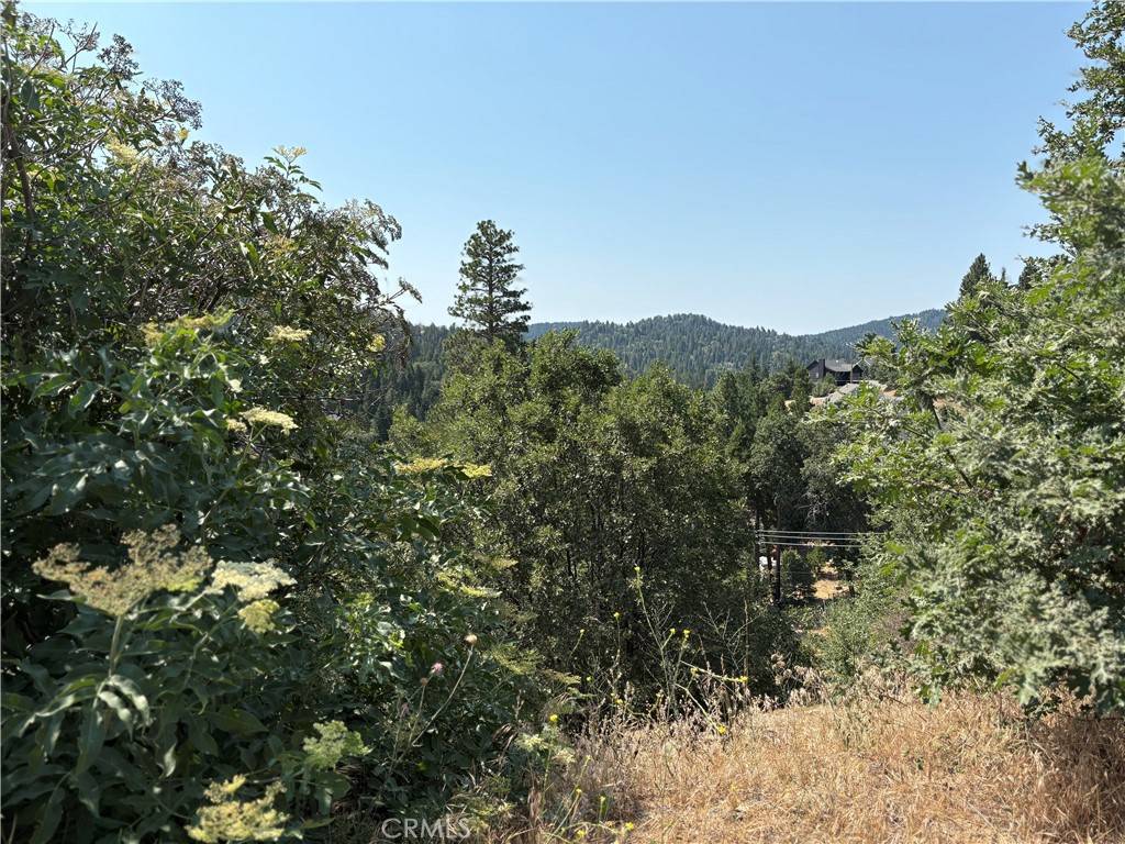 Lake Arrowhead, CA 92352,26815 Inyo CT