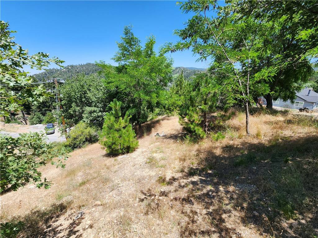 Running Springs, CA 92382,31912 Encina WAY