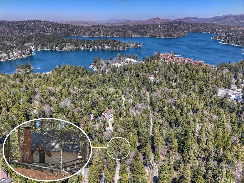 Lake Arrowhead, CA 92352,377 Hillside RD
