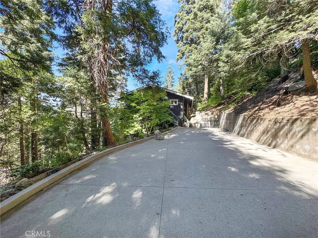 Crestline, CA 92325,24466 Altdorf DR