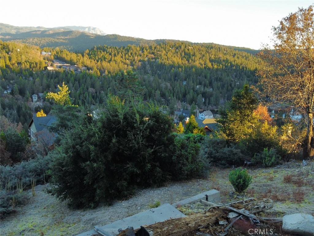 Lake Arrowhead, CA 92352,935 Sonoma DR