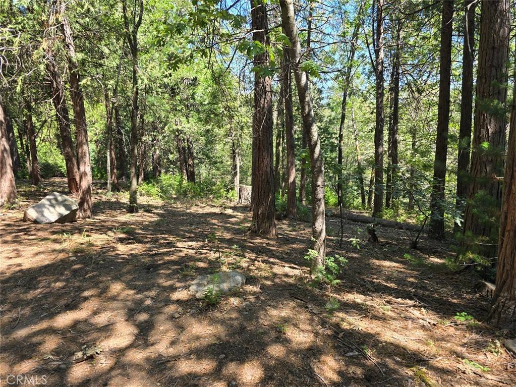 Cedarpines Park, CA 92322,0 Lovers LN