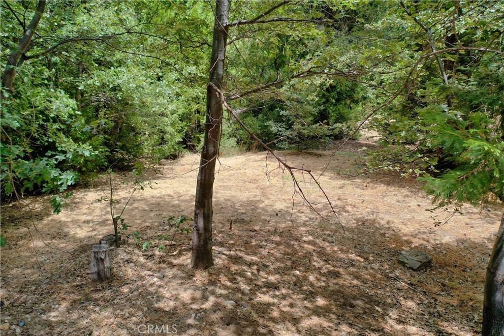 Lake Arrowhead, CA 92352,27513 Meadow Bay DR