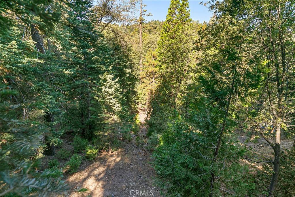 Twin Peaks, CA 92391,628 Rose LN