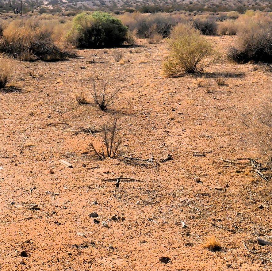 Boron, CA 93516,9 Pipeline Road
