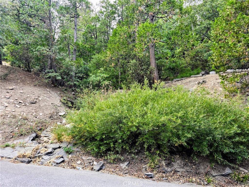 Lake Arrowhead, CA 92352,0 Zurich DR