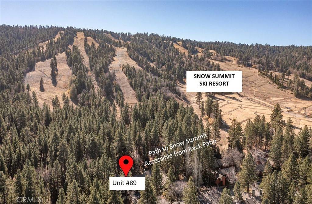 Big Bear Lake, CA 92315,41935 Switzerland DR #89