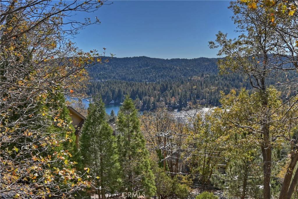 Lake Arrowhead, CA 92352,27685 St Bernard