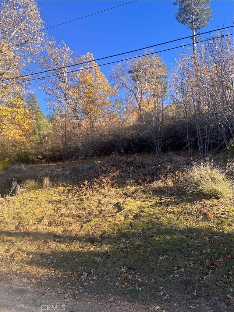 Cedar Glen, CA 92321,29834 Juniper DR