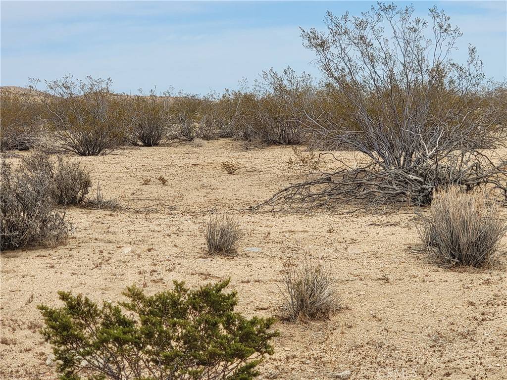 California City, CA 93505,0 Sheila DR