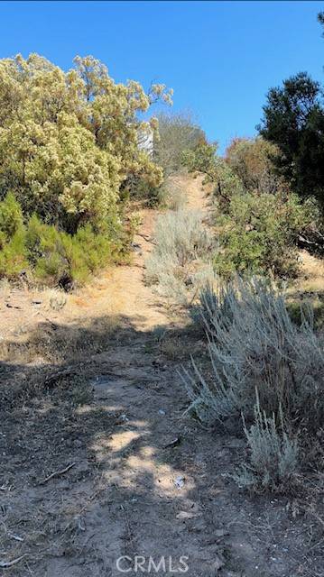 Anza, CA 92539,1 Old Forest