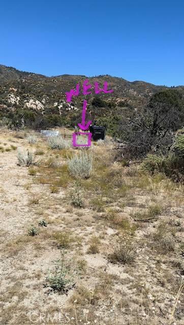 Anza, CA 92539,1 Old Forest