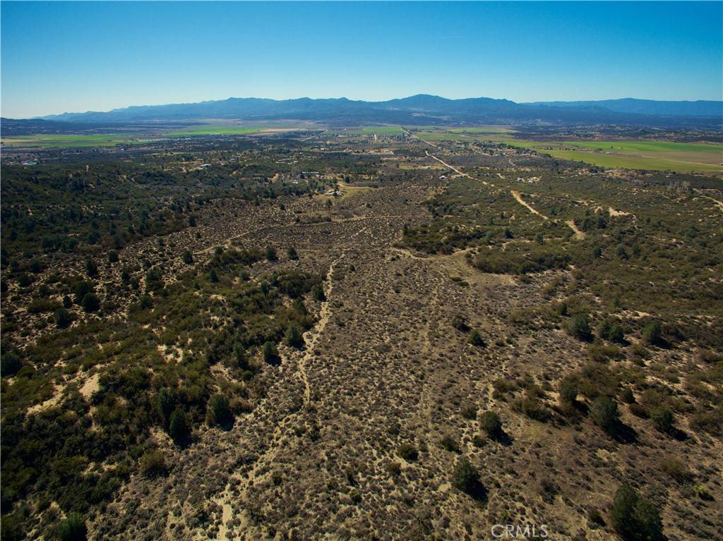 Anza, CA 92539,7 Old Forest