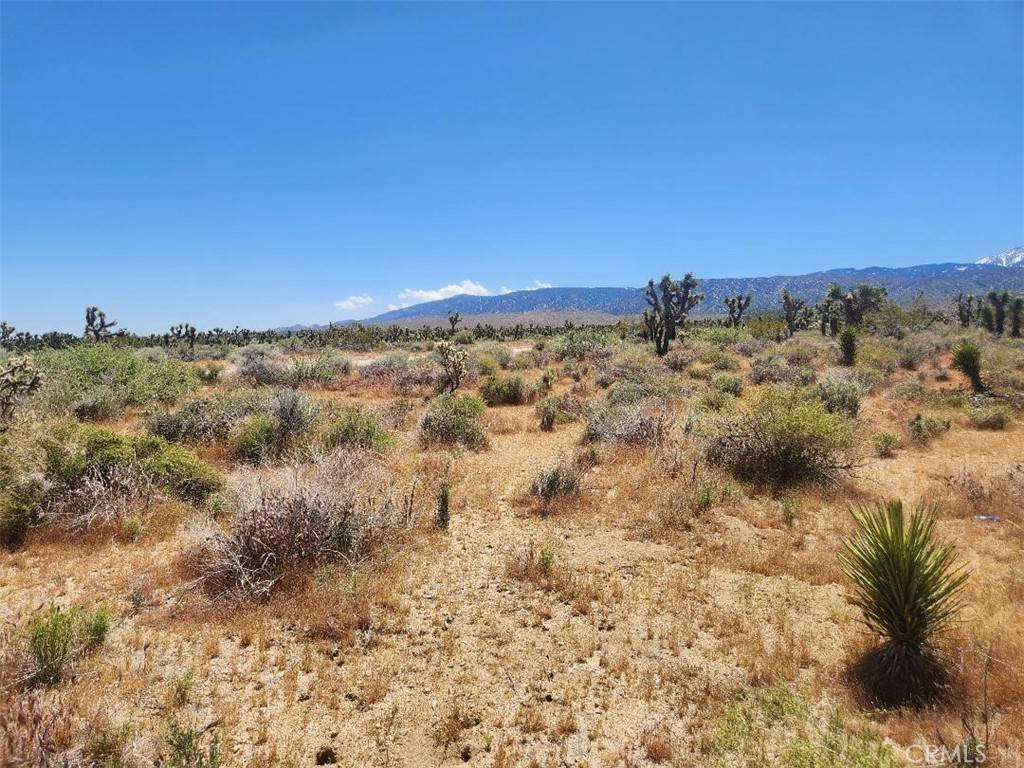 Llano, CA 93544,0 Ave X6 212 ST
