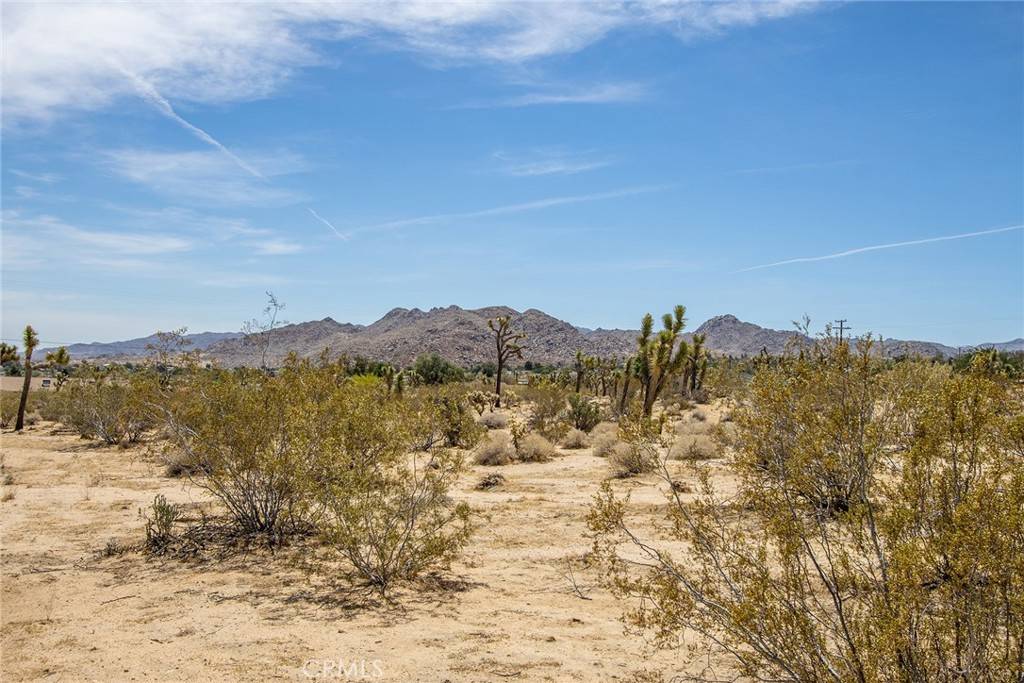 Joshua Tree, CA 92252,6563 Saddleback RD