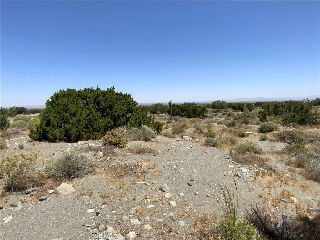 Pinon Hills, CA 92372,0 Phelan RD